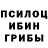 Псилоцибиновые грибы GOLDEN TEACHER Local Boy