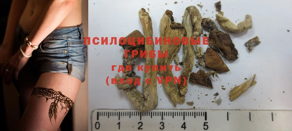 тгк Сосновый Бор